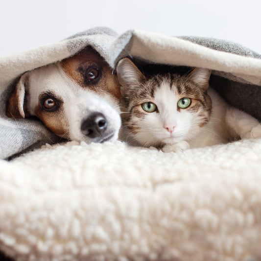 Dierenhaar uit je wasmachine verwijderen